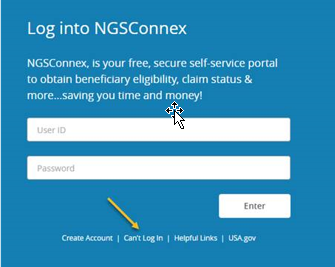 This is the NGSConnex screen where a user enters their login credentials.
