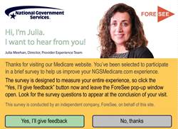 Image of Julia Meehan on the Foresee Survey