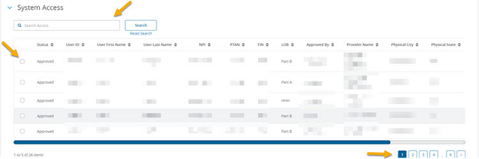 System Access panel