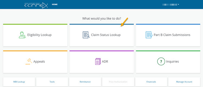 Claim Status Lookup 