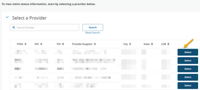 Select a Provider panel