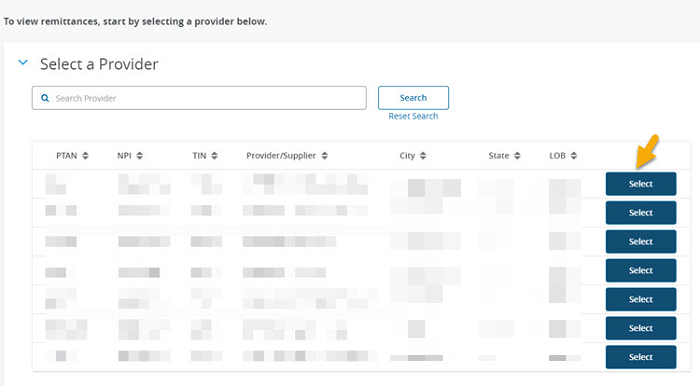 Select a Provider panel