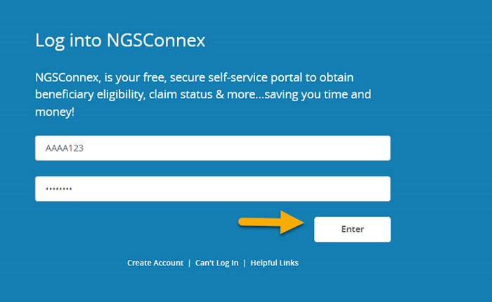 NGSConnex User Guide NGSMEDICARE NGSConnex User Guide NGSMEDICARE