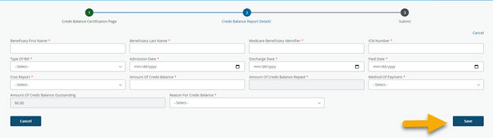 Credit Balance report details