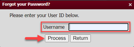 Forgot your Password page highlighting Username and Process