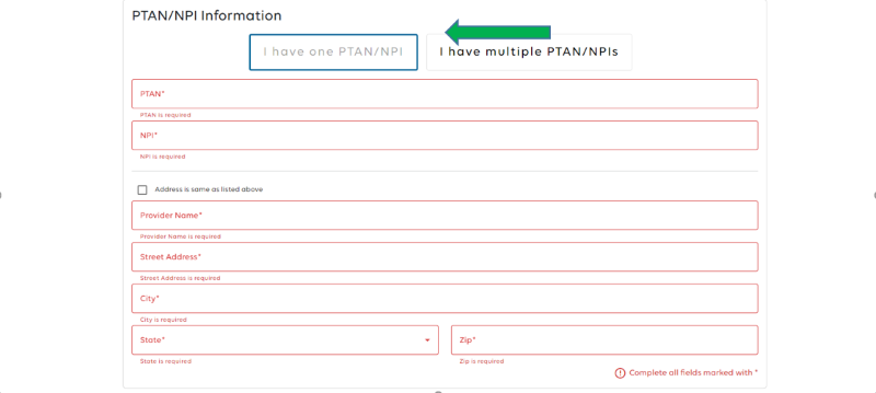 PTAN/NPI Information fields.