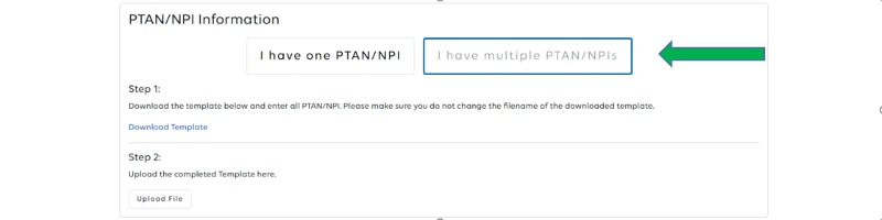 Multiple PTAN/NPIs tab.