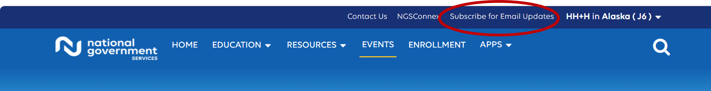 NGSMedicare.com top banner with subscribe for email updates circled