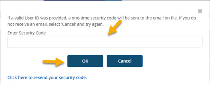 NGSConnex Enter the Security Code in the Enter Security Code field then click Next.